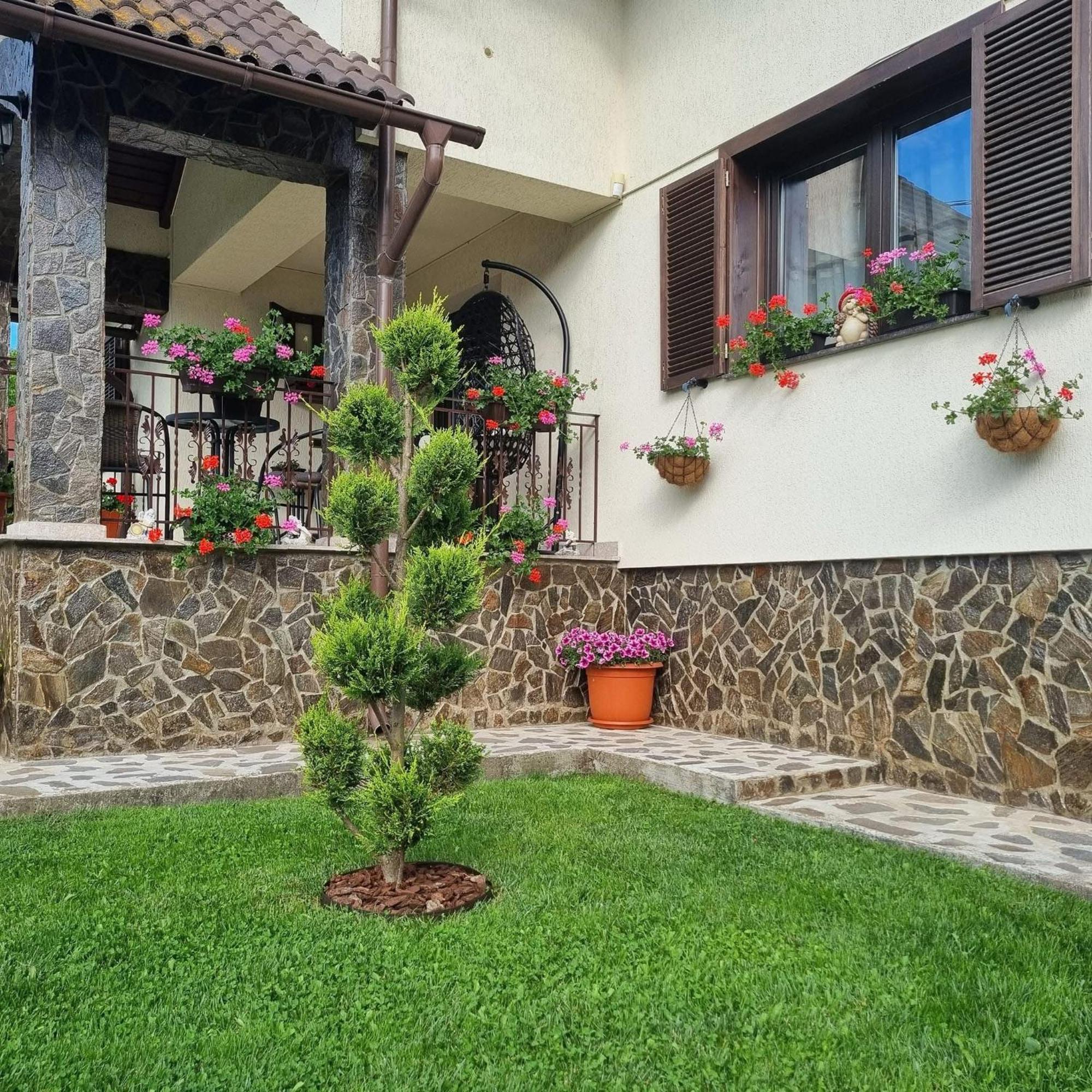 Pensiunea Select Curtea de Argeş Dış mekan fotoğraf