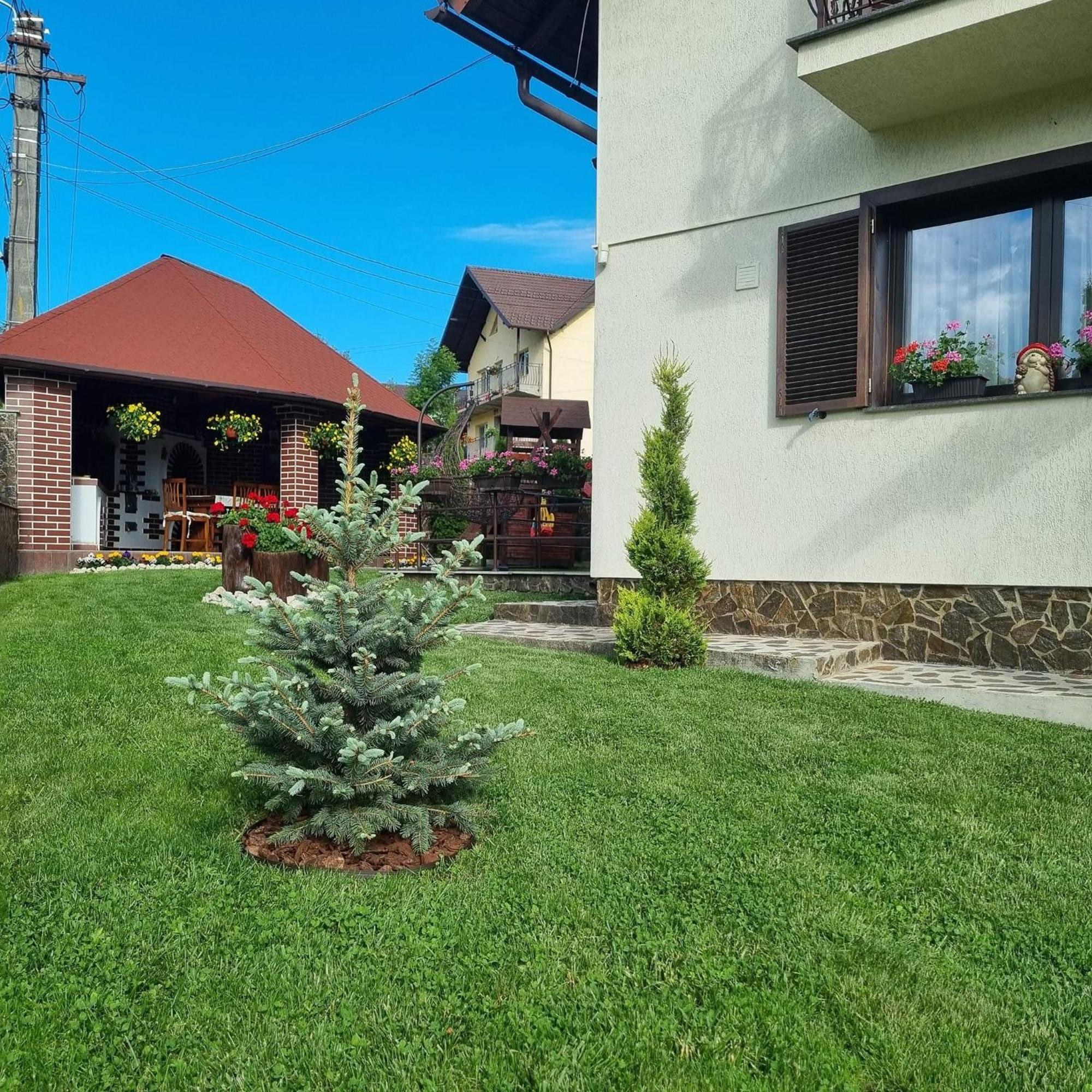 Pensiunea Select Curtea de Argeş Dış mekan fotoğraf